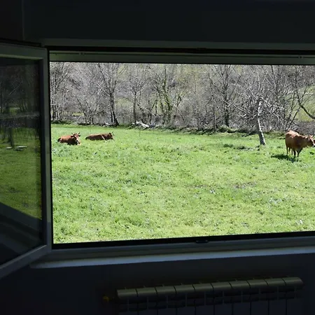 Apartamentos Arredondo Lägenhet *