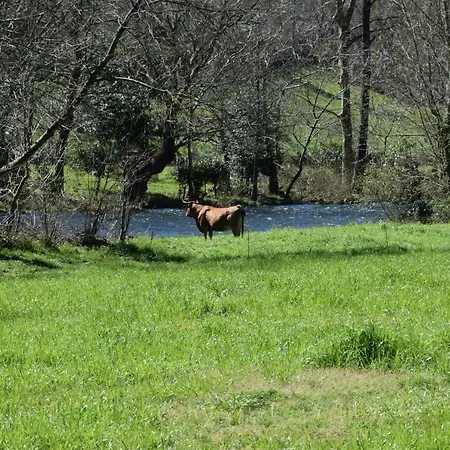 Apartamentos Arredondo * Arredondo