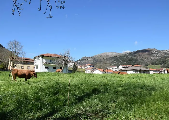 Apartamentos Arredondo *