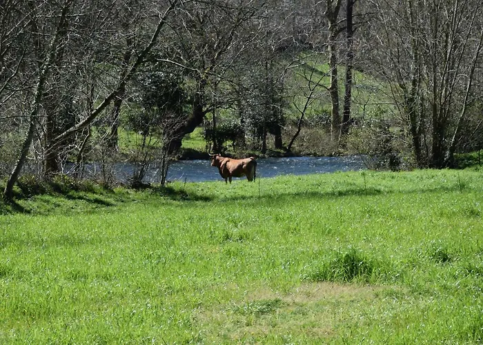 Apartamentos Arredondo * Arredondo